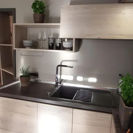 Modern Oasis بولا